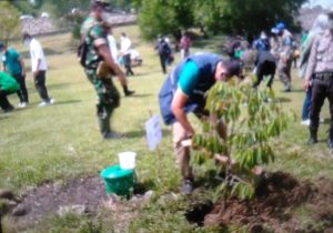 Kolaborasi Jasa Tirta II dalam Penanaman Pohon
