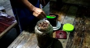 Sang Pembuat Kopi Asli Dari Gunung Burangrang, Abah Darwita: Minumlah Kopi Asli Agar Badan Sehat