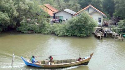 Sertifikasi Lahan Hutan Muaragembong Percepat Pembangunan Wilayah Utara