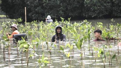 Sertifikasi Tanah Pesisir Muaragembong Untuk Kemajuan Ekonomi